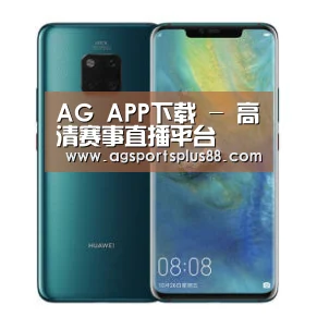 华为无线快充手机