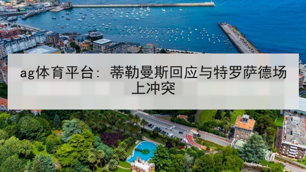 ag体育平台: 蒂勒曼斯回应与特罗萨德场上冲突