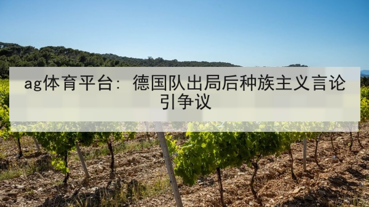 ag体育平台: 德国队出局后种族主义言论引争议