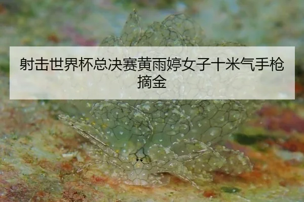 射击世界杯总决赛黄雨婷女子十米气手枪摘金